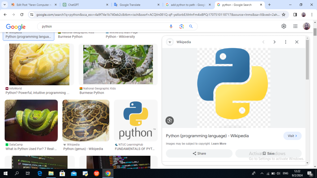 yaren python