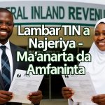 Lambar TIN a Nigeria: Ma’ana, Amfani da Yadda Ake Mallakar ta