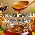 ZUMA: Amfanin Ta, Hanyoyin Samar Da Ita, Da Muhimmancin Ta Ga Lafiya